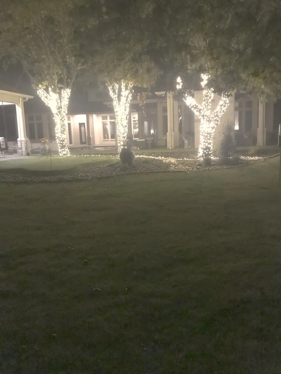 Wrapped trees lining the approach to the house, installed by South Custom Lighting in North Texas