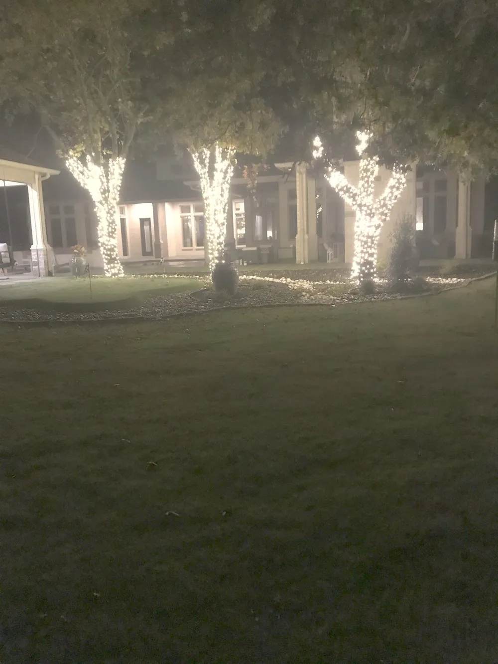 Wrapped trees lining a North Texas driveway in warm white commercial-grade lights