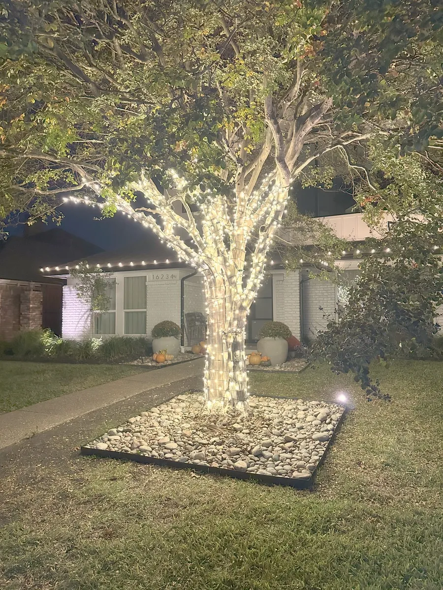 A tree wrapped in warm white lights at a Denton area home