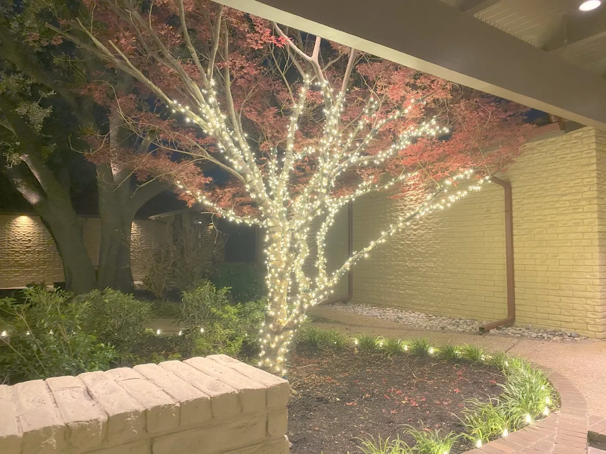 Wrapped tree uplit against a stone wall, installed by South Custom Lighting in North Texas