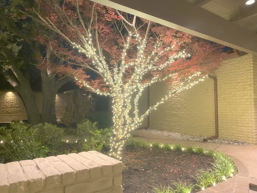 A wrapped trunk with uplighting grazing the wall behind it, installed by South Custom Lighting in North Texas