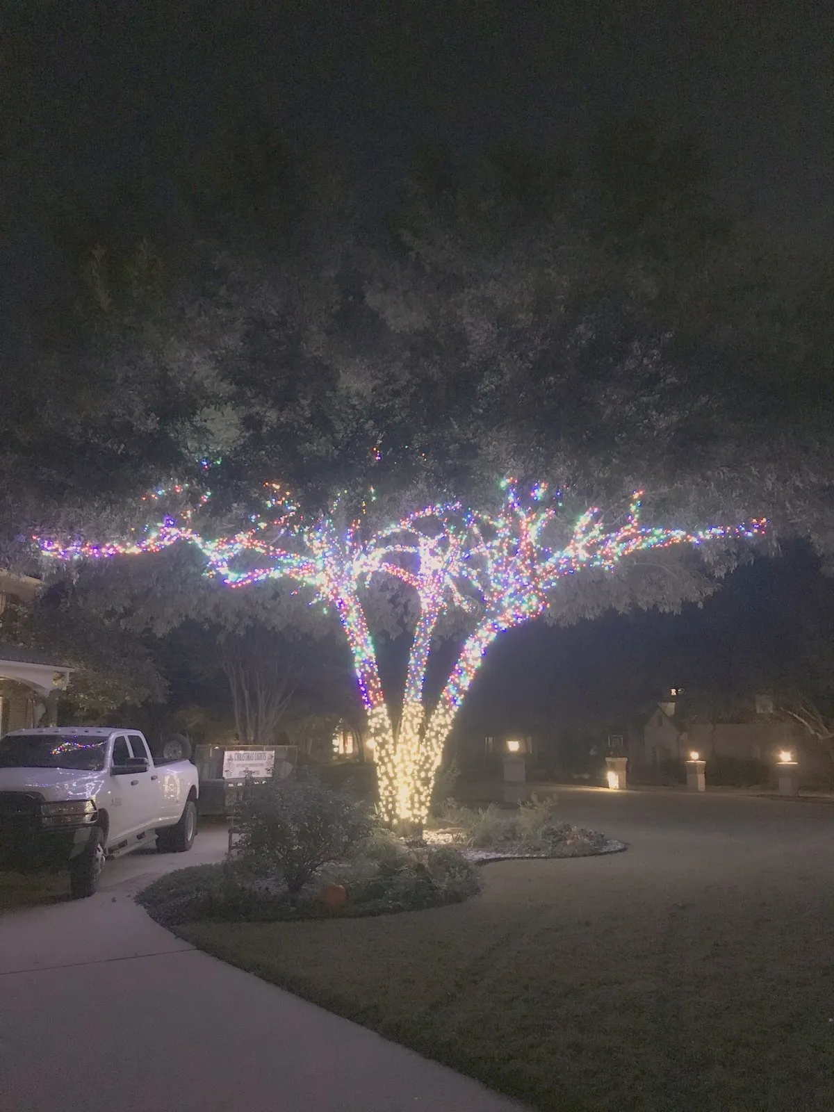 Color uplighting on a mature tree, installed by South Custom Lighting in North Texas