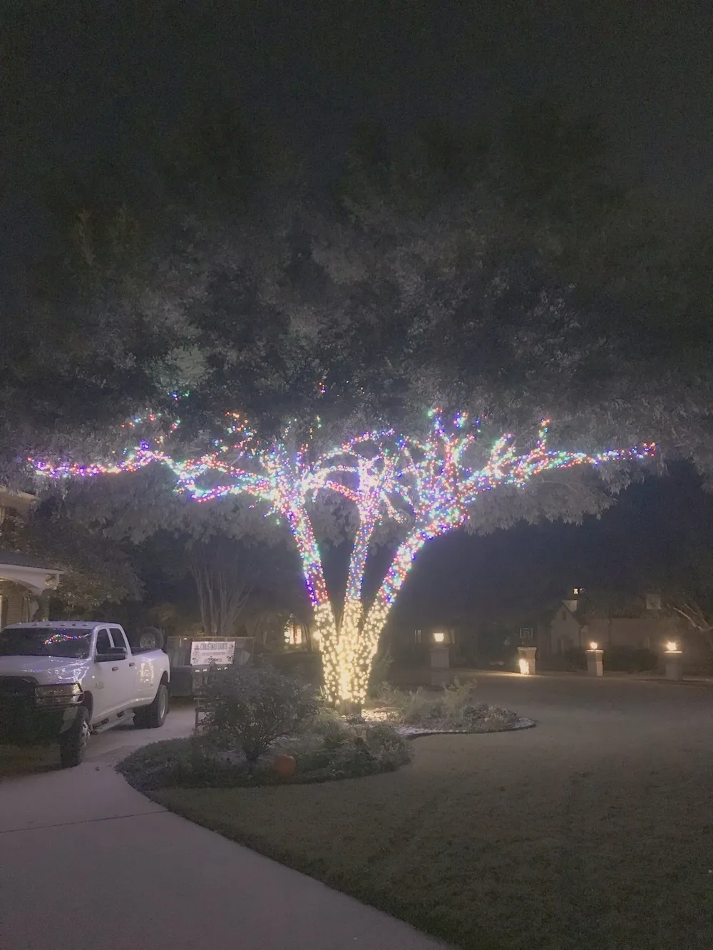 Colored uplighting on a mature tree at a North Texas property